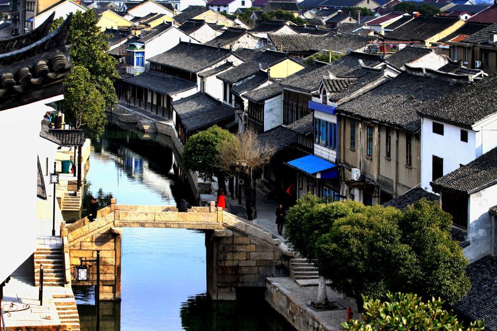 漂亮鹦鹉救援